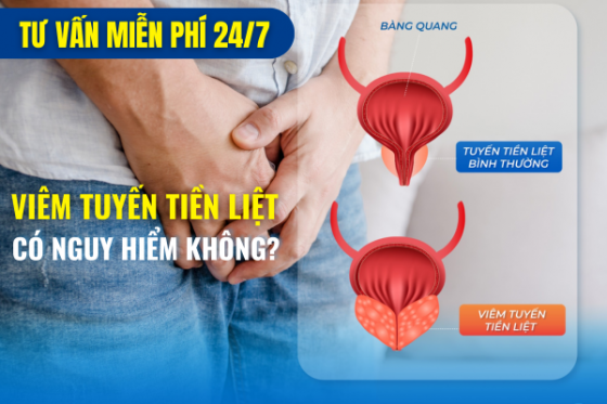 bxh (61).png