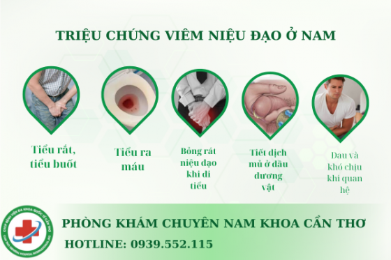 cac-trieu-chung-viem-nieu-dao-ơ-nam.png