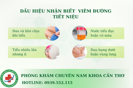 dau-hieu-nhan-biet-viem-duong-tiet-nieu.png