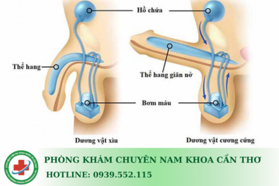 roi-loan-cuong-duong-la-gi.png