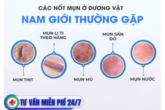 bxh (64).png
