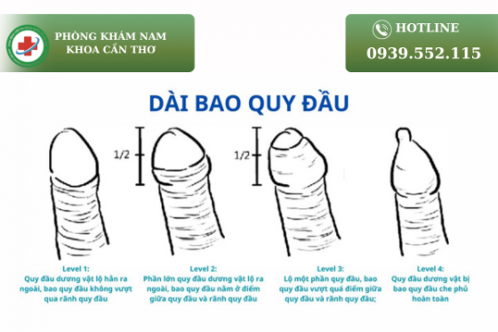 dai-bao-quy-dau.png