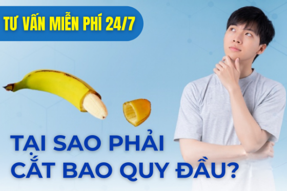bxh (65).png