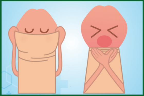 that-nghet-bao-quy-dau.png