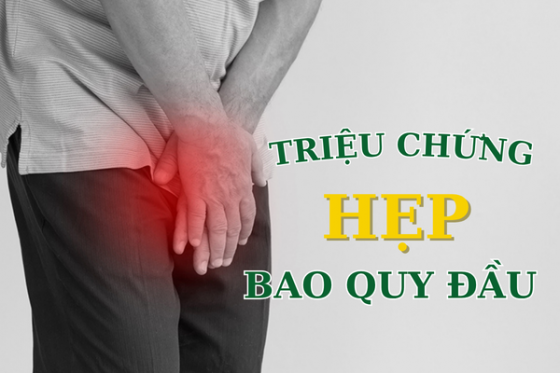 Thêm nội dung văn bản.png