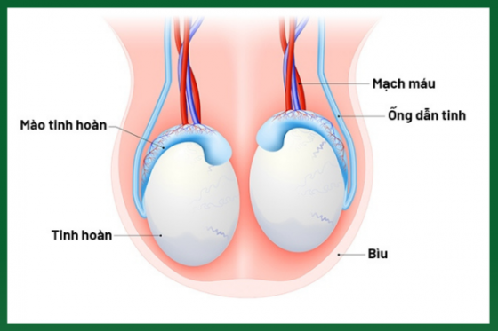 Thêm nội dung văn bản (2).png