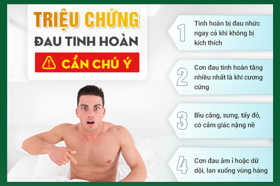dau-tinh-hoan.png
