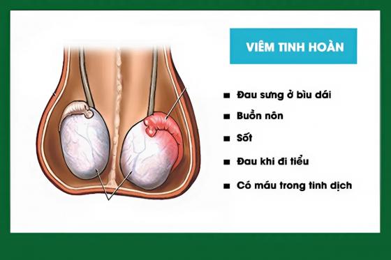 anh-sung-tinh-hoan.jpeg