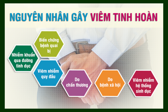 hinh-dang-1.png