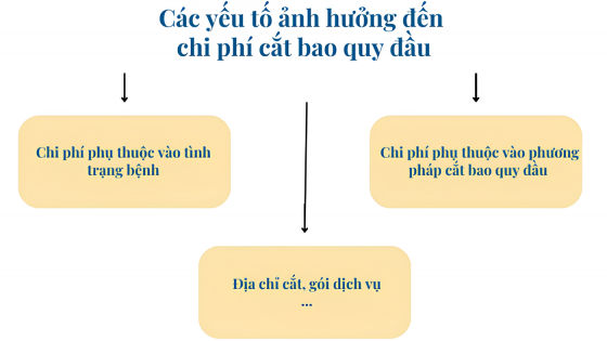 yeu-to-quye-dinh-chi-phi-cat-bao-quy-dau-(2).png