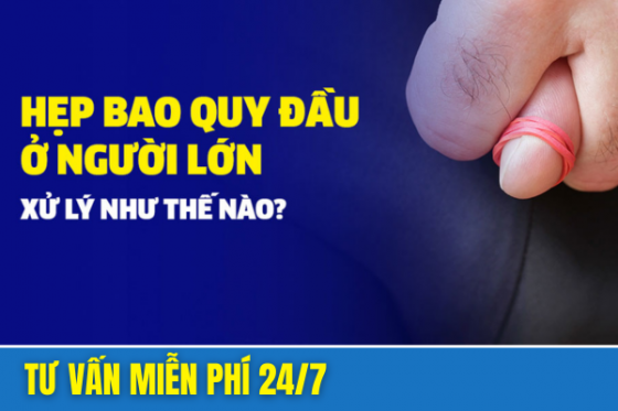 bxh (79).png